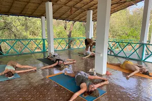 India Yoga School - Yoga Teacher Training in Goa, Yoga Retreat in Goa image