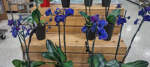 Supermarket «Publix Super Market at Merton Walk», reviews and photos, 911 Duluth Hwy, Lawrenceville, GA 30043, USA