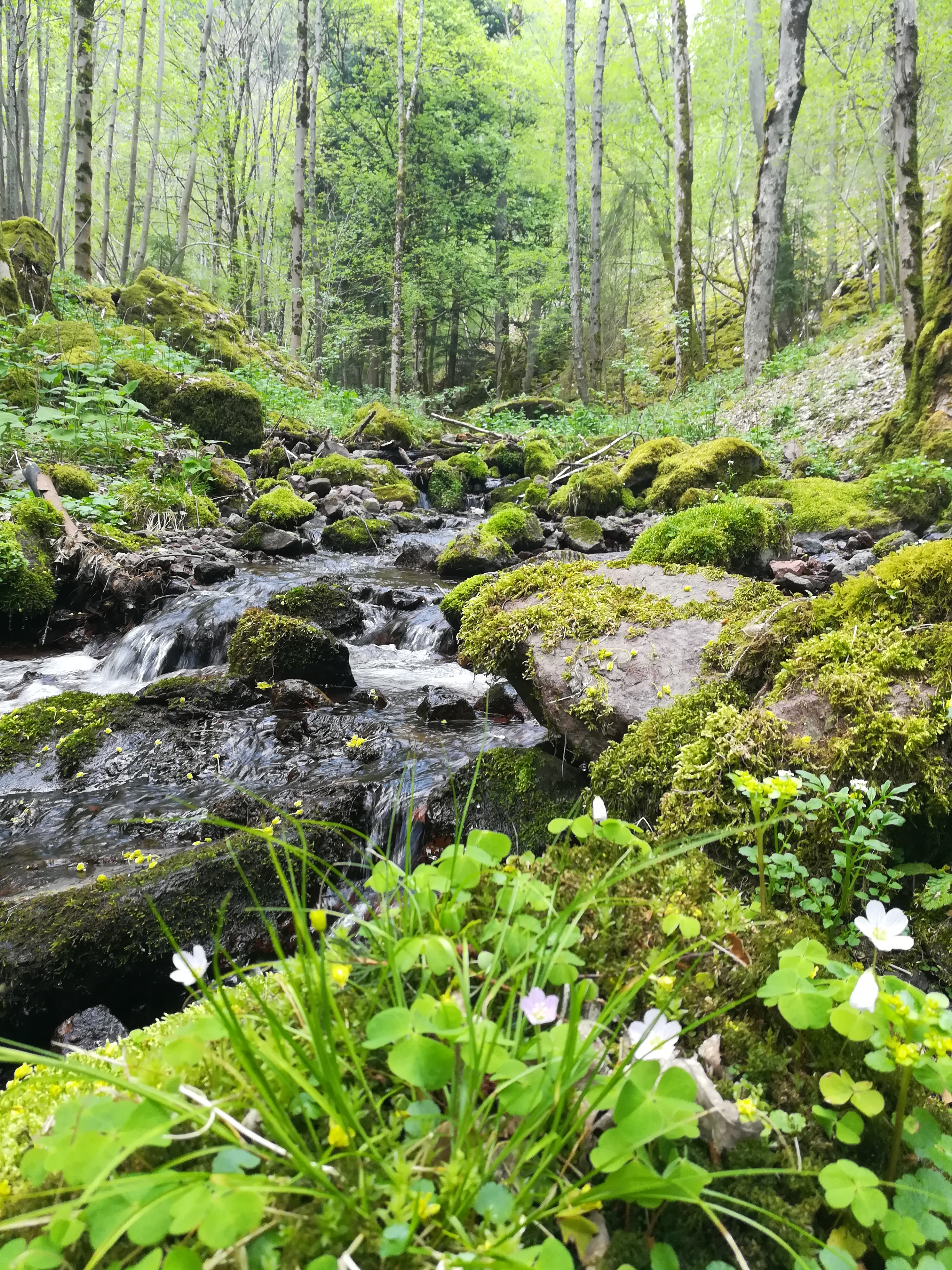 Photo n° 3 de l'avis de Marianne.u fait le 27/04/2018 à 11:19