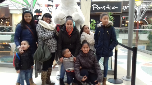 Imagen del negocio Sanadul en Móstoles, Madrid