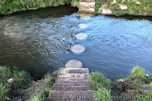 Hogsmill Stepping Stones image