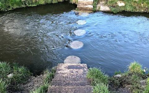 Hogsmill Stepping Stones image