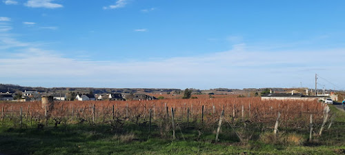 La Troglo À Plumes à Parnay