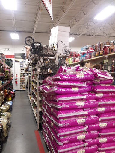 Home Improvement Store «Tractor Supply Co.», reviews and photos, 6945 US Hwy 98 N, Lakeland, FL 33809, USA