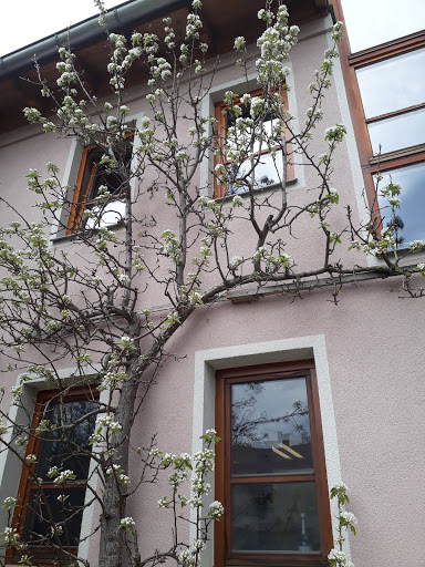 Dr. med. vet. Georg Eller Tiergesundheitszentrum Aurachsmühle unter Hofheim, 