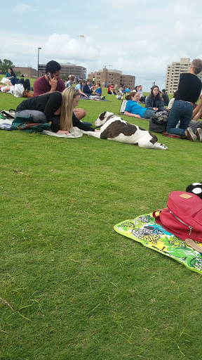 Performing Arts Theater «Miller Outdoor Theatre», reviews and photos, 6000 Hermann Park Dr, Houston, TX 77030, USA