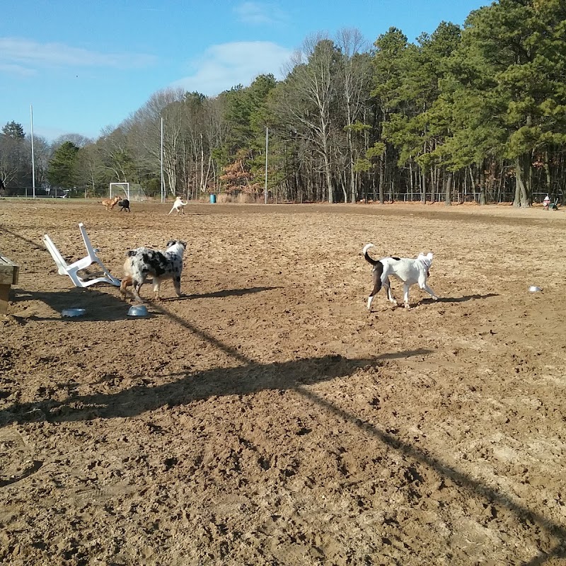 Warwick City Dog Park