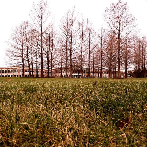 Insurance Agency «GEICO Corporate Office», reviews and photos