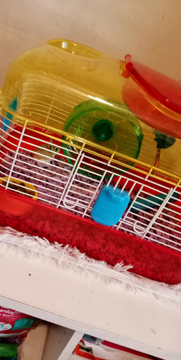 Pet Supply Store «PetSmart», reviews and photos, 288 West Ave, Stamford, CT 06902, USA