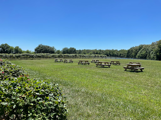 Winery «DelMonaco Winery & Vineyards», reviews and photos, 600 Lance Dr, Baxter, TN 38544, USA