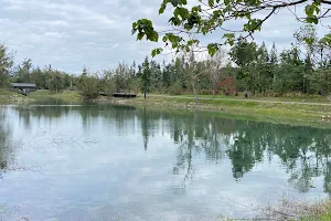 Lake Biwa Forest Bathing Trail image