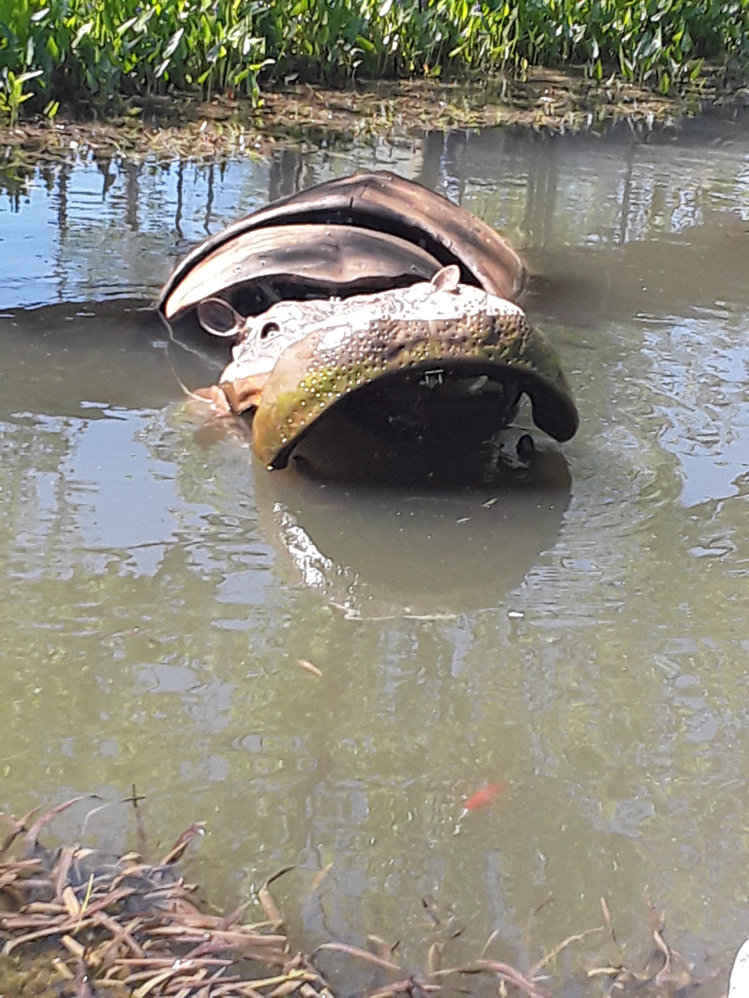 Photo n° 8 de l'avis de John.a fait le 24/06/2019 à 13:01