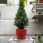 Photo n°5 de l'avis de Luca.o fait le 21/05/2017 à 10:23 sur le  Ristorante Sotto Sale à Rimini