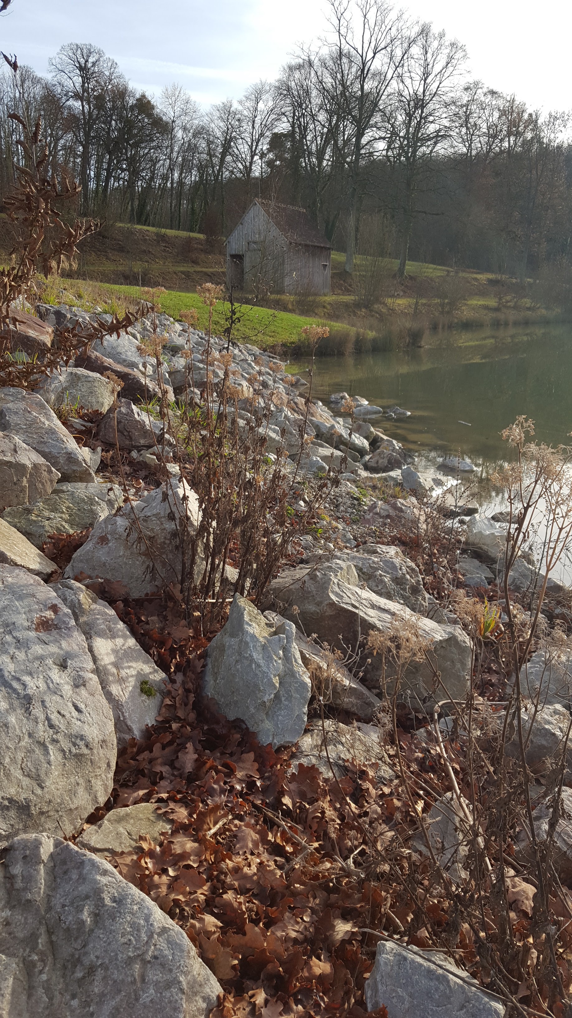 Photo n° 9 de l'avis de Alex.i fait le 03/01/2019 à 06:03