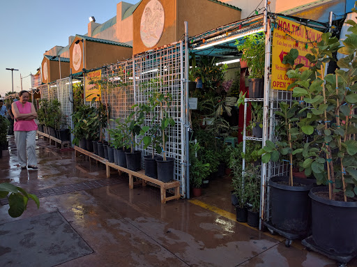 Asian Grocery Store «A Dong Supermarket», reviews and photos, 9221 Bolsa Ave, Westminster, CA 92683, USA