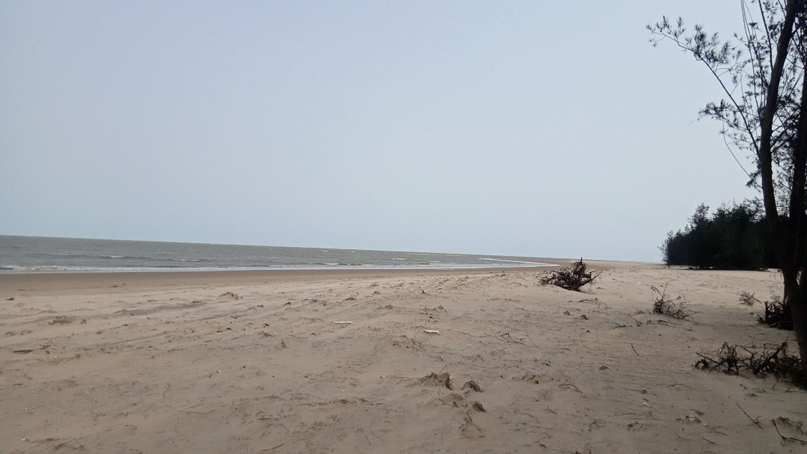 Foto de Kasafal Sea Beach zona salvaje