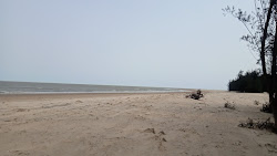 Photo of Kasafal Sea Beach wild area