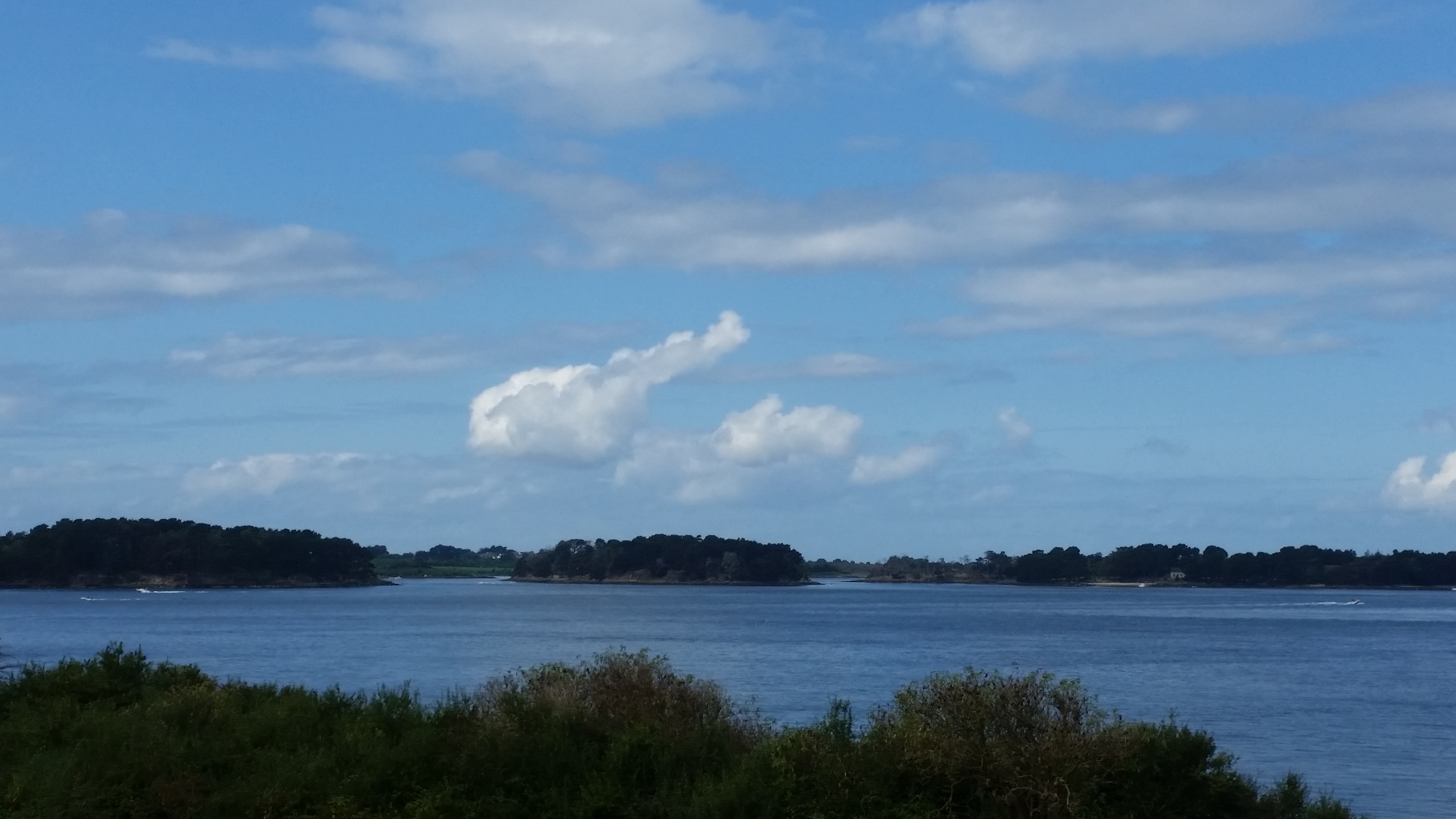 Photo n° 3 de l'avis de Elodie.a fait le 30/08/2018 à 07:37