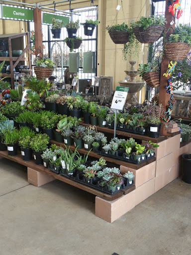 Hardware Store «Orchard Supply Hardware», reviews and photos, 11441 Jefferson Blvd, Culver City, CA 90230, USA