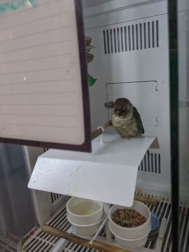 Pet Supply Store «Petco Animal Supplies», reviews and photos, 1215-1309 NJ-33 #1, Hamilton Township, NJ 08690, USA