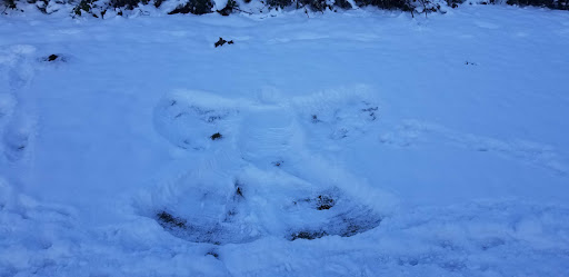 Golf Course «Wayne Public Golf Course», reviews and photos, 16721 96th Ave NE, Bothell, WA 98011, USA