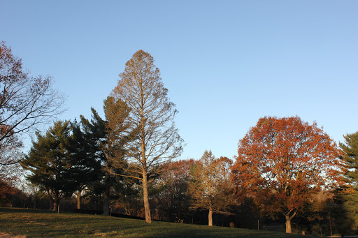 Park «Haym Solomon Memorial Park», reviews and photos, 200 Moores Rd, Malvern, PA 19355, USA