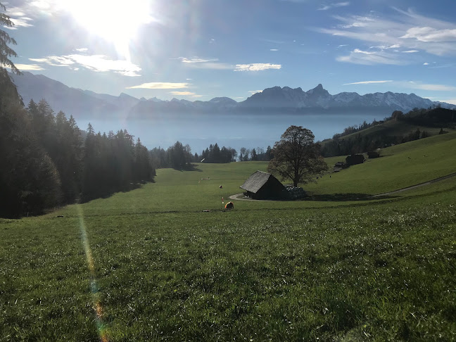 Swissgliders Gleitschirmflugschule Thun - Schule