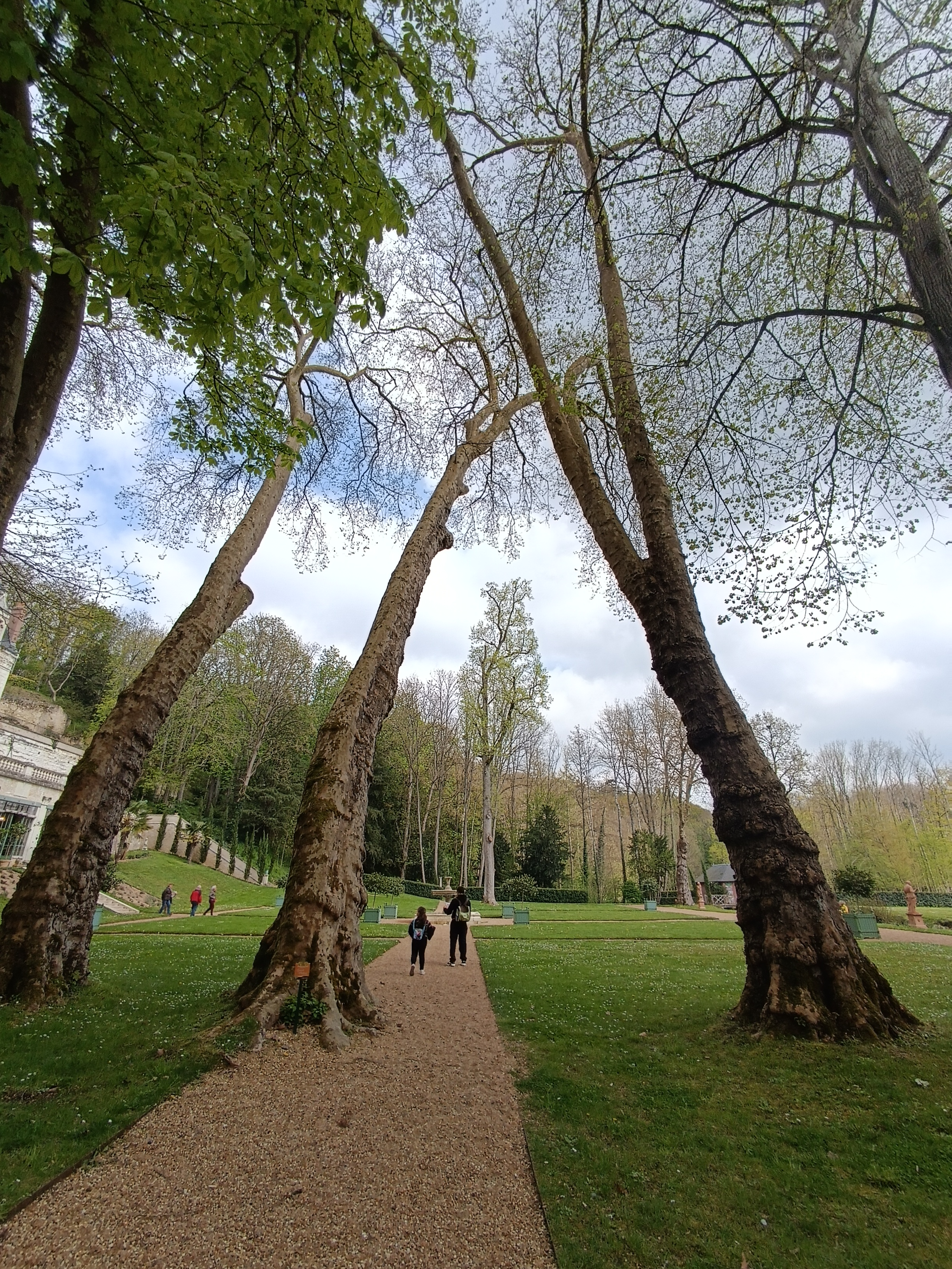 Photo n° 3 de l'avis de Vivi87. fait le 17/04/2023 à 16:01