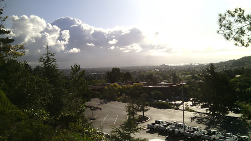 Shopping Mall «Laurelwood Shopping Center», reviews and photos, 1206 W Hillsdale Blvd, San Mateo, CA 94403, USA