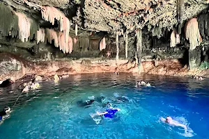 Yucatan Dive Crew image