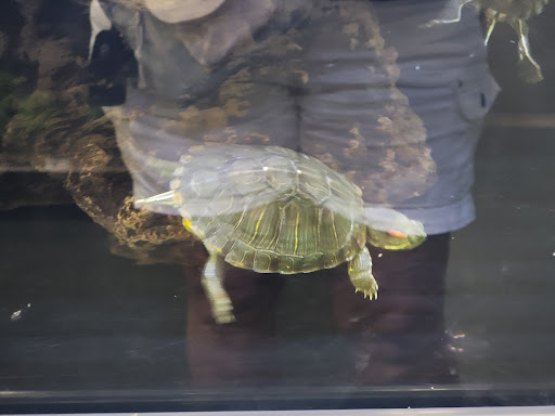 Pet Supply Store «Petco Animal Supplies», reviews and photos, 693 Middletown Warwick Rd, Middletown, DE 19709, USA