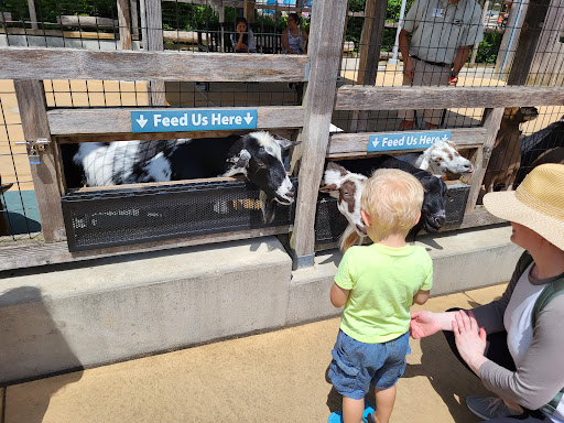 Zoo «Hamill Family Play Zoo», reviews and photos, 3300 Golf Rd, Brookfield, IL 60513, USA