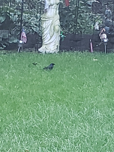 Consignment Shop «Second Glance Resale Shop», reviews and photos, 18859 E 9 Mile Rd, Eastpointe, MI 48021, USA