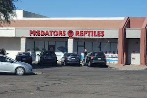 Predators Reptile Center image