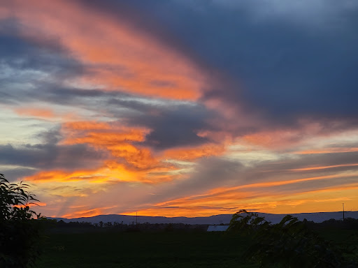 Event Planner «The Family Drive in Theatre», reviews and photos, 5890 Valley Pike, Stephens City, VA 22655, USA