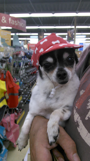 Shopping Mall «Lake City Shopping Center», reviews and photos, 3006 NE 127th St, Seattle, WA 98125, USA