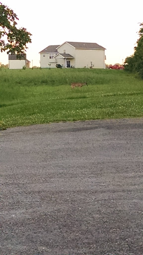 Hardware Store «Buchheit of Sparta», reviews and photos, 1817 N Market St, Sparta, IL 62286, USA