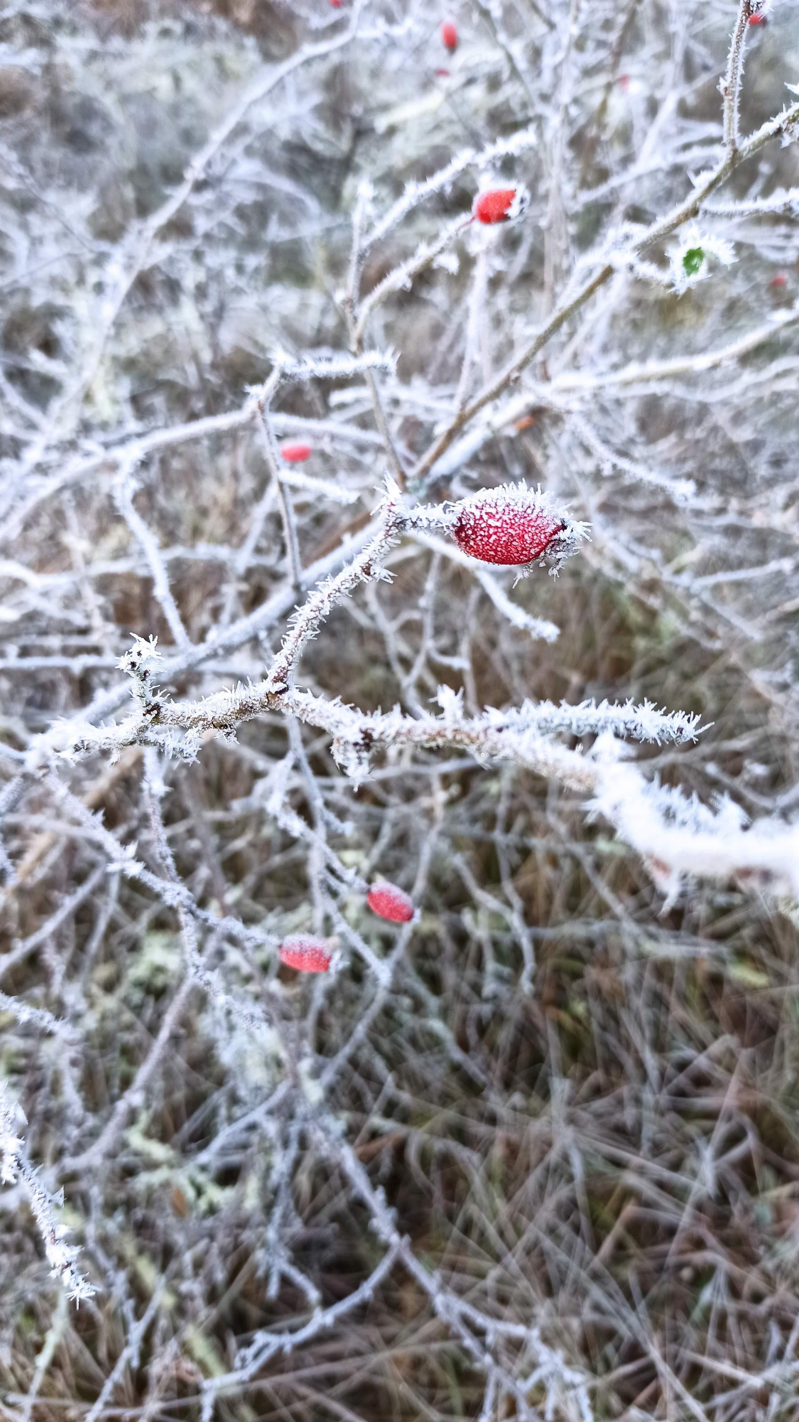 Photo n° 35 de l'avis de Veltas. fait le 30/10/2019 à 11:55