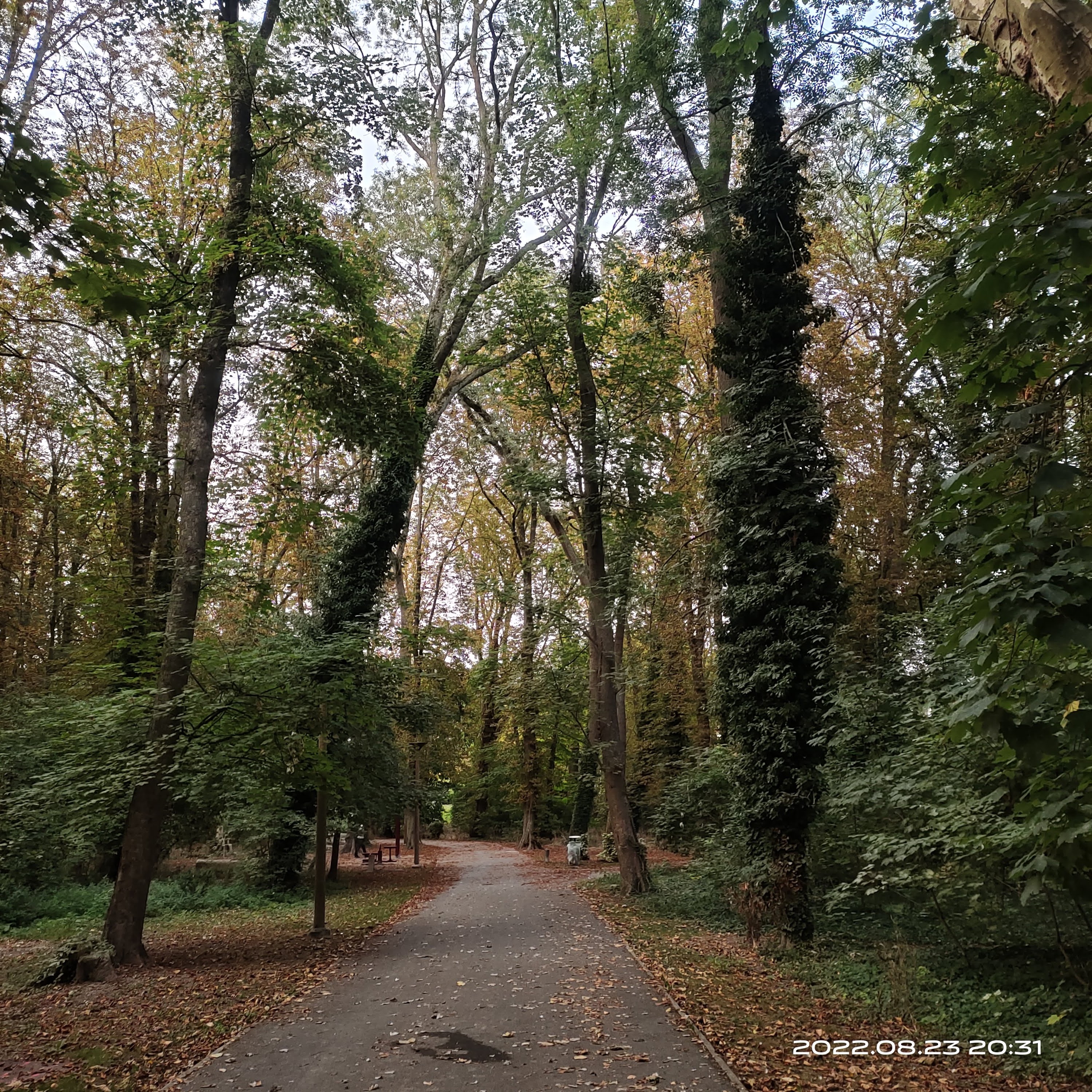 Photo n° 4 de l'avis de hemanth.e fait le 07/09/2022 à 18:16