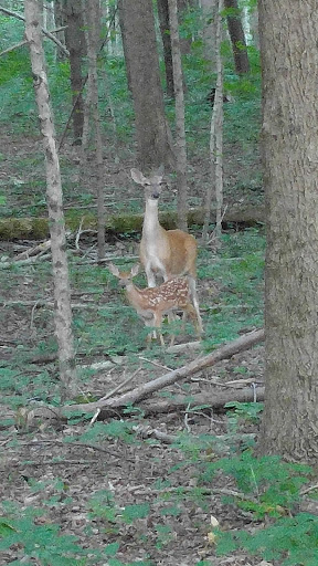 Nature Preserve «Kokiwanee Nature Preserve», reviews and photos, 5825 E 50 S, Lagro, IN 46941, USA