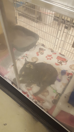 Pet Supply Store «PetSmart», reviews and photos, 1559 Merritt Blvd, Dundalk, MD 21222, USA