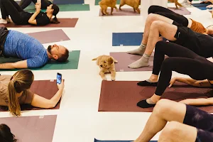 Pups Yoga image