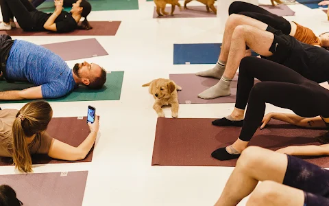 Pups Yoga image