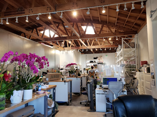 Florist «French Florist», reviews and photos, 8658 W Pico Blvd, Los Angeles, CA 90035, USA