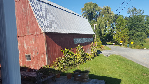 Winery «Cayuga Ridge Estate Winery», reviews and photos, 6800 NY-89, Ovid, NY 14521, USA