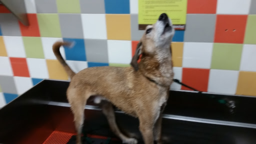 Pet Supply Store «Petco Animal Supplies», reviews and photos, 61-23 190th St, Fresh Meadows, NY 11365, USA