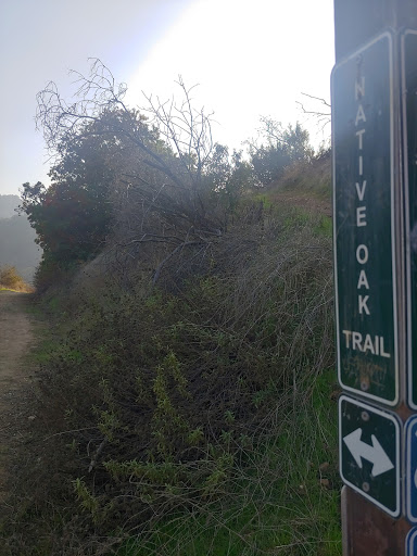 Hacienda Hills Trailhead image