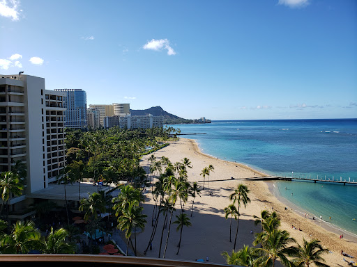 Cruise Agency «Oswego Travel Agency», reviews and photos, 103 Main St, Oswego, IL 60543, USA