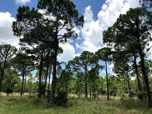 Nature Preserve «Duette Preserve», reviews and photos, 2649 Rawls Rd, Parrish, FL 34219, USA