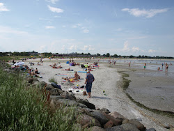 Zdjęcie Oster Hurup Beach z poziomem czystości wysoki